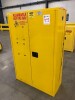 Durham Fireproof Paint Cabinet